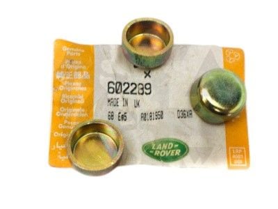 Silindir Kapak Su Tapası-602289-/Range Rover New
