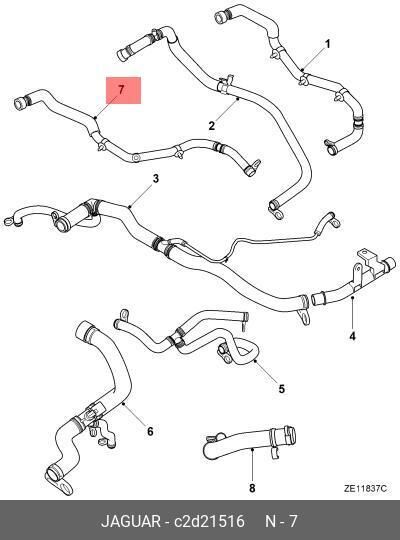 Radyatör Hortumu-C2D21516 O-Jaguar
