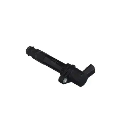 Bobin Komple-Nec000110 A-Nec000070-V6/Freelander 1