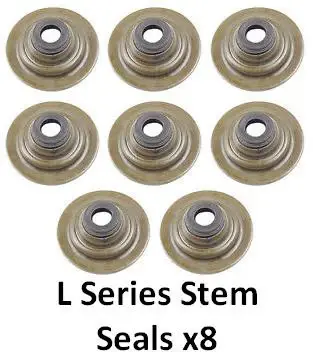 Subap Lastiği ( Adet )-Ljq100680 L.-Tcı/Freelander 1
