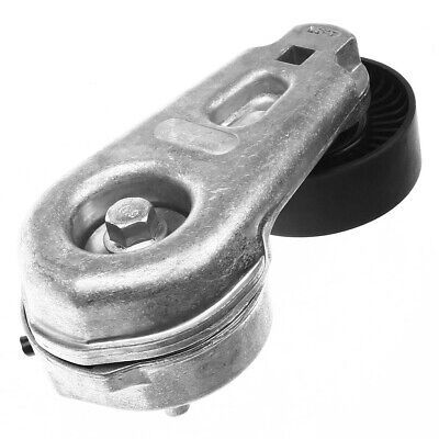 V Kayış Gergi Bilyası (Less Stabil.Rool)-Lr016140 F-Jde11364 (Jaguar)-3.0/Range Rover Sport