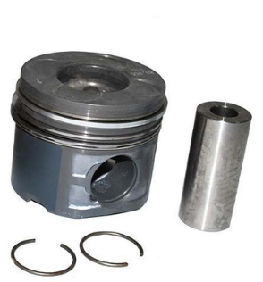Piston Segman Standart-Lfl000620 Y-Td4 - 3.0/Freelander 1-Range Rover New 2
