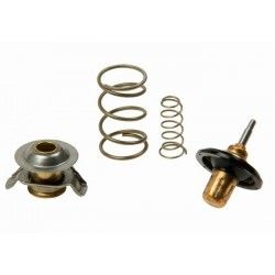 Termostat-Lr023138-4.4/Range Rover New 2