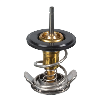 Termostat-Pbm100040 F-Tcı/Freelander 1