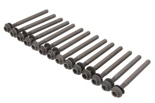 Silindir Kapak Saplama Seti ( 14 ADET )-LR125319 V-JDE40769 (JAGUAR)---R.R.SPORT