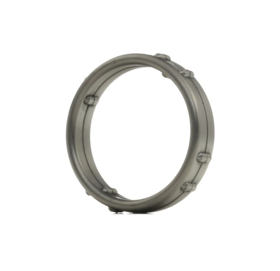 Termostat Ara Boru ( Oringi )-Lr018829 E-1341370-Jde1703 (Jaguar)-2.7 - 3.0/Range Rover Sport-Range Rover New 2
