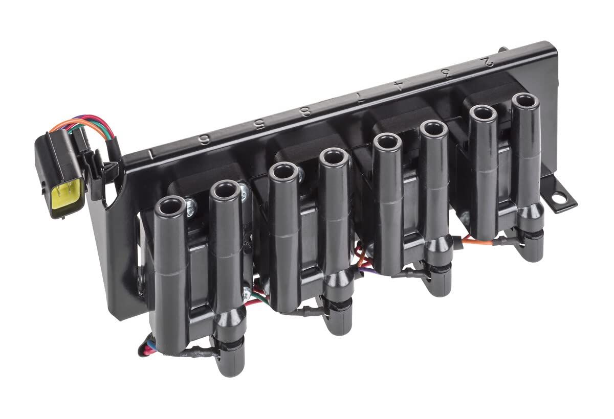 Bobin Komple ( Sıralı Tip )-Err6269 V-Err4493-4.6/Range Rover New
