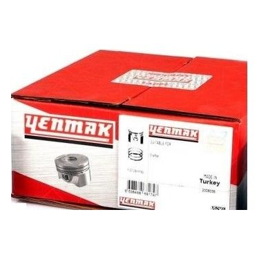 Piston Segman Standart-Err5554 Y-4.6/Range Rover New