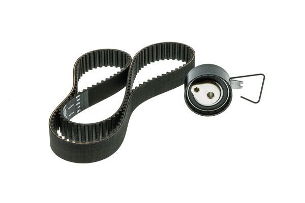 Triger Kayışı + Bilya 145 Diş ( Set )-Lhn100560 G.-1.8/Freelander 1