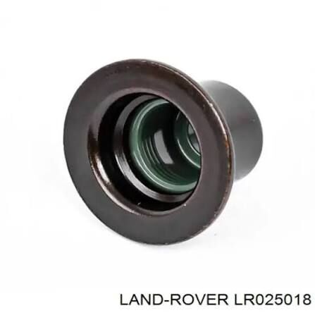 Subap Lastiği Emme ( Adet )-Lr025018 B.-Lr116446-Jde1362 (Jaguar)-Jde40290 (Jaguar)-2.0 Benzinli/Range Rover Evoque