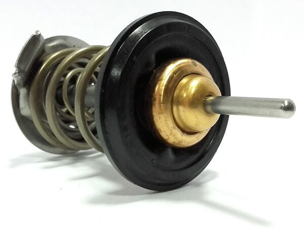 Termostat-Pbm100040 B.-Tcı/Freelander 1