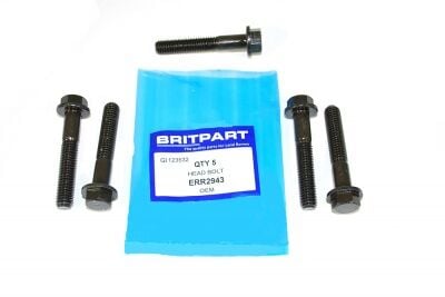 Silindir Kapak Saplaması Set ( 20 ADET )-ERR2943-44 B.-Range Rove New