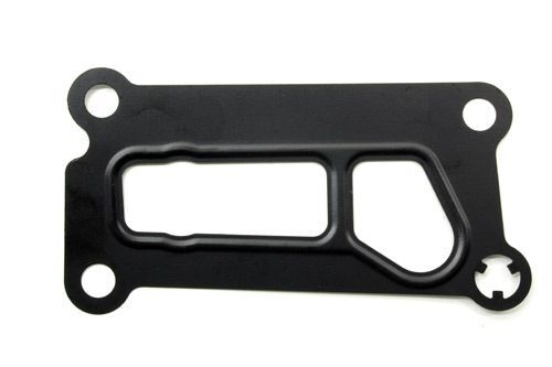 Conta Yağ Filtre Adaptör-Lr025007 E -C2S24162 (Jaguar)-/Range Rover Sport